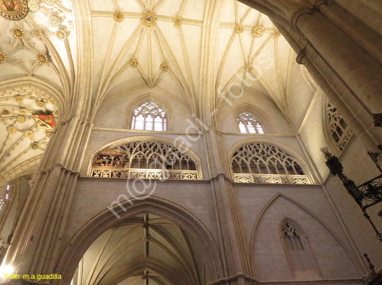 PALENCIA (212) Catedral