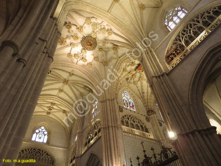 PALENCIA (213) Catedral