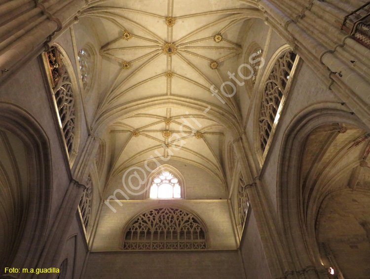 PALENCIA (215) Catedral