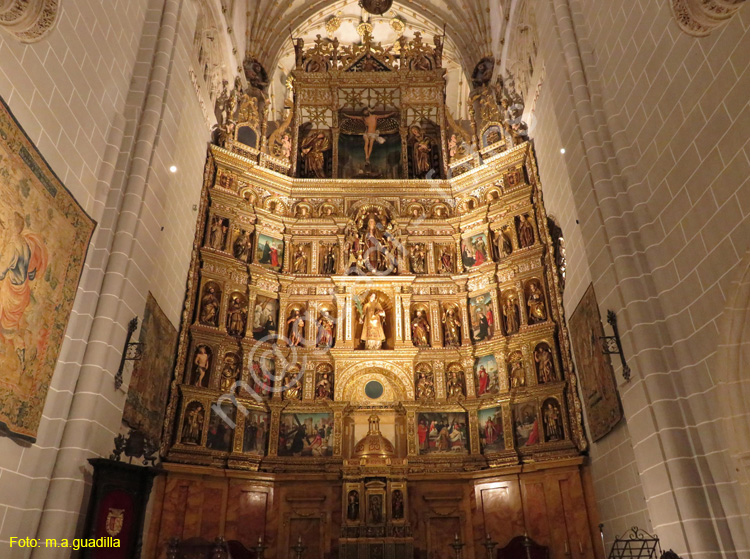 PALENCIA (217) Catedral