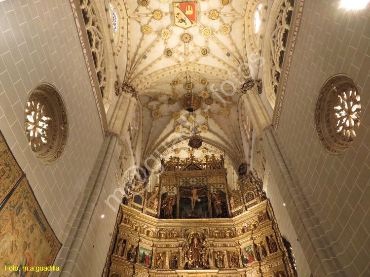 PALENCIA (218) Catedral