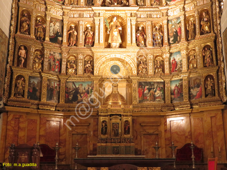 PALENCIA (223) Catedral