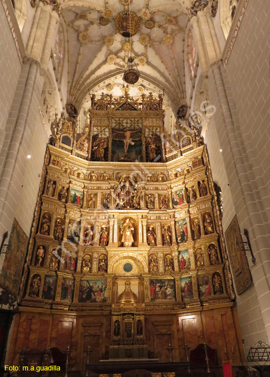 PALENCIA (224) Catedral
