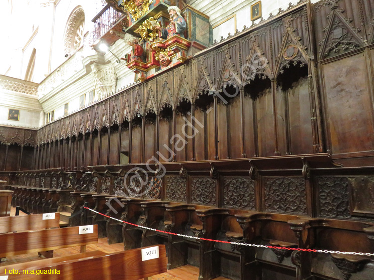 PALENCIA (227) Catedral