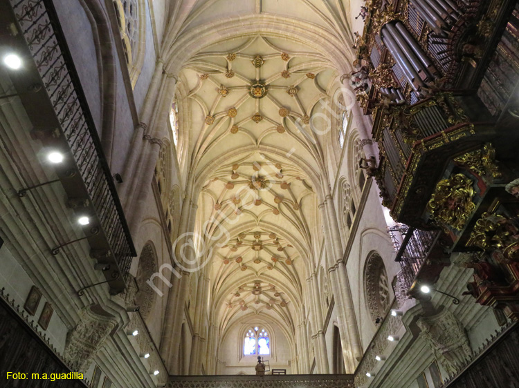 PALENCIA (228) Catedral