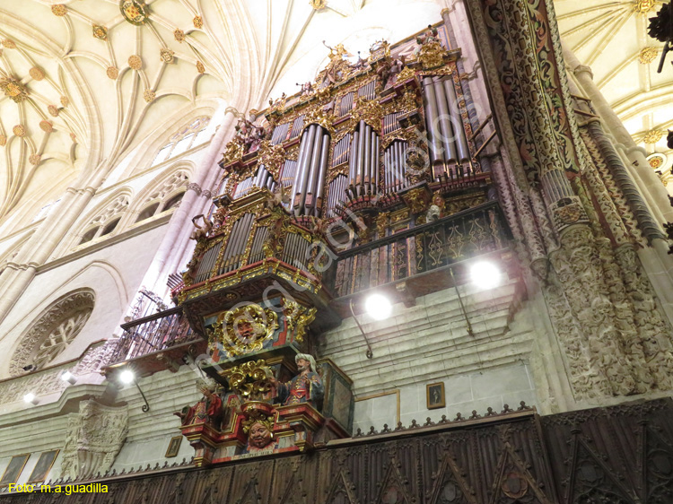 PALENCIA (229) Catedral