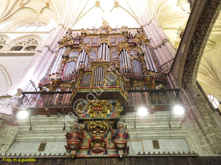 PALENCIA (231) Catedral