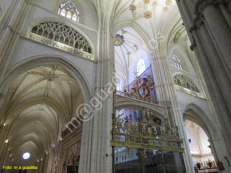 PALENCIA (239) Catedral