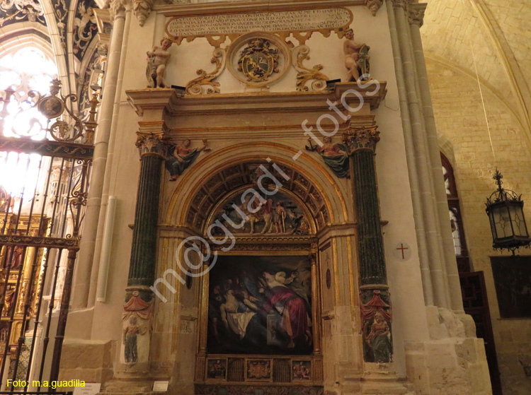 PALENCIA (246) Catedral