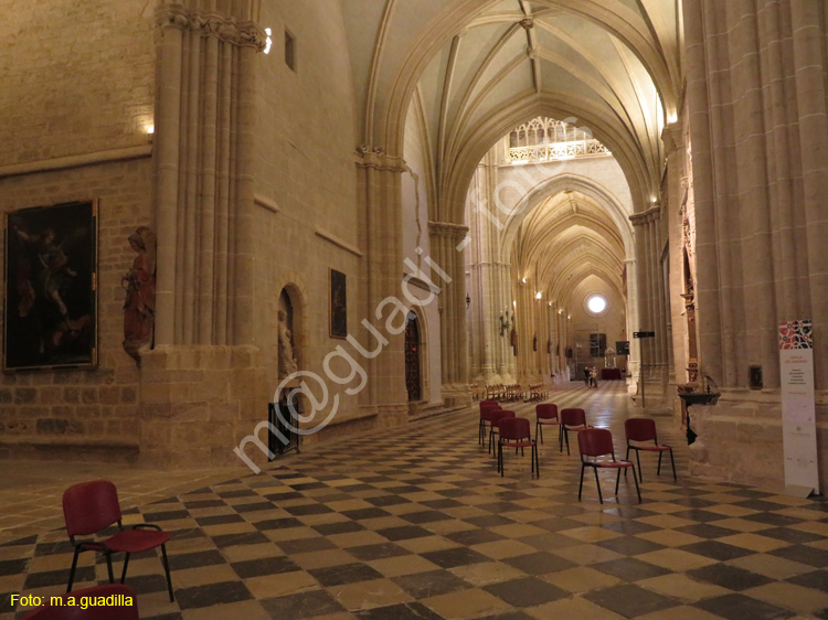 PALENCIA (247) Catedral