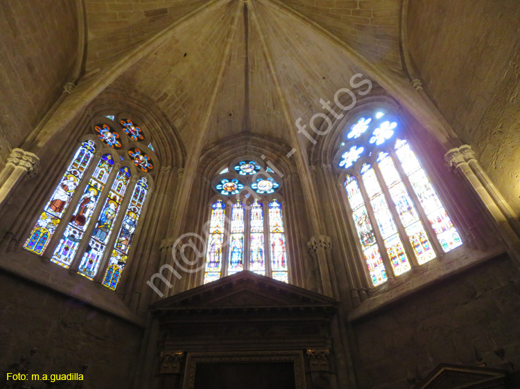 PALENCIA (255) Catedral