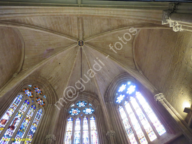 PALENCIA (256) Catedral