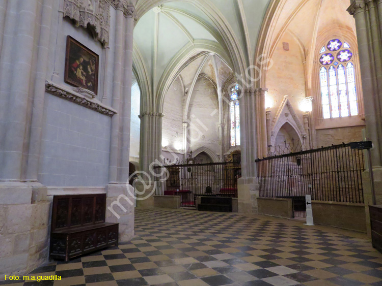 PALENCIA (257) Catedral