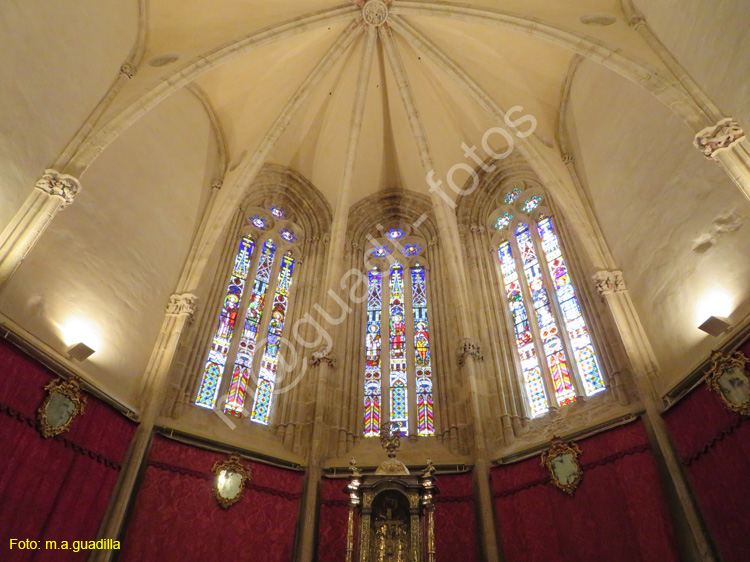 PALENCIA (259) Catedral