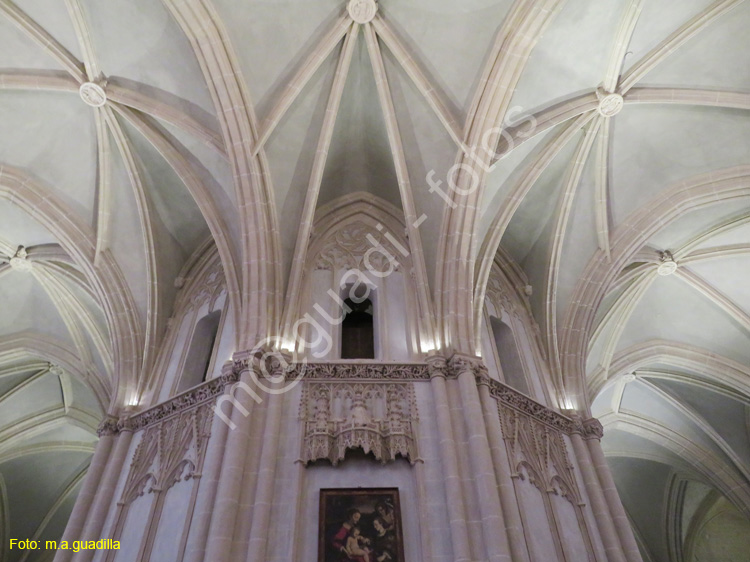 PALENCIA (260) Catedral