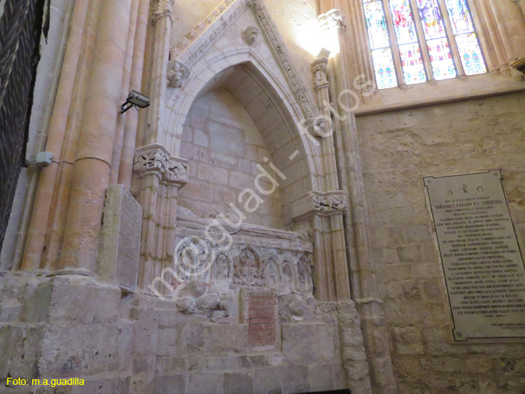 PALENCIA (262) Catedral