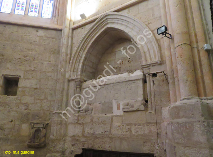 PALENCIA (263) Catedral