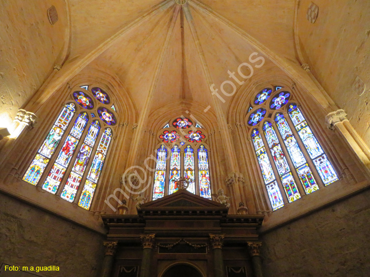 PALENCIA (264) Catedral