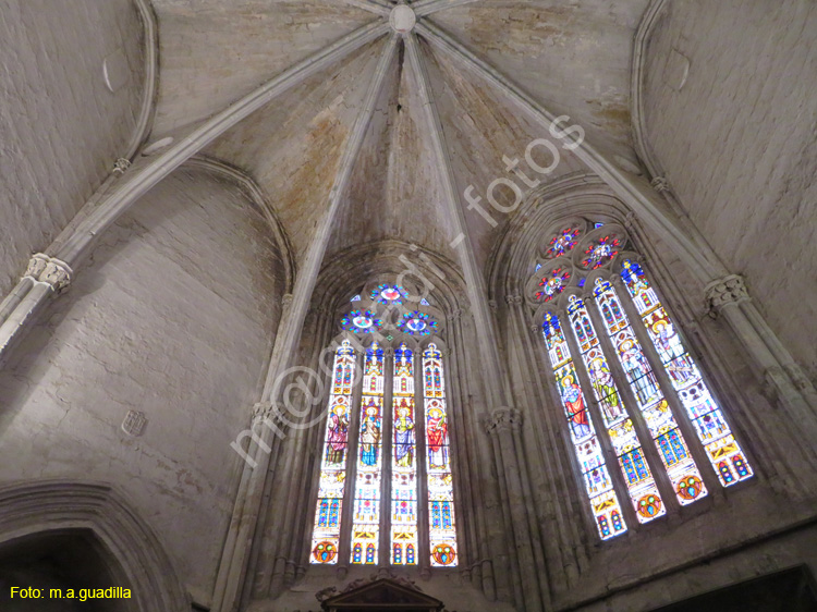 PALENCIA (269) Catedral