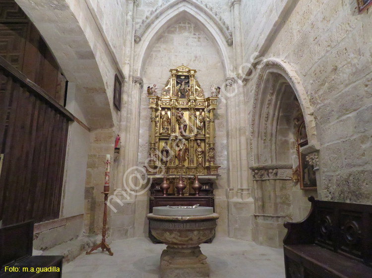 PALENCIA (272) Catedral