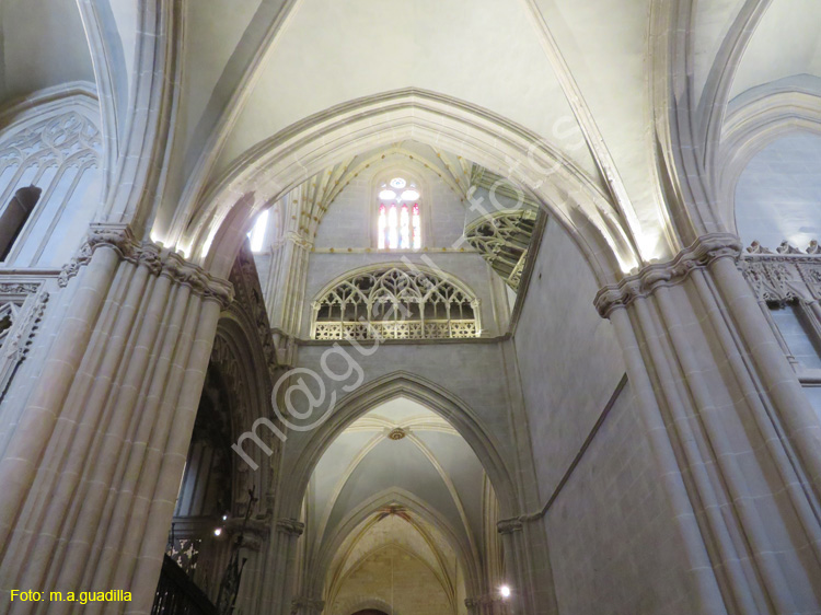 PALENCIA (273) Catedral