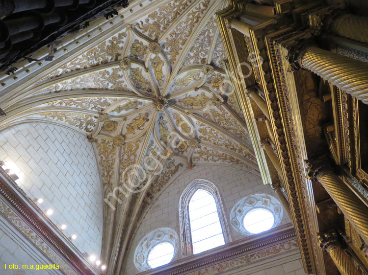 PALENCIA (276) Catedral