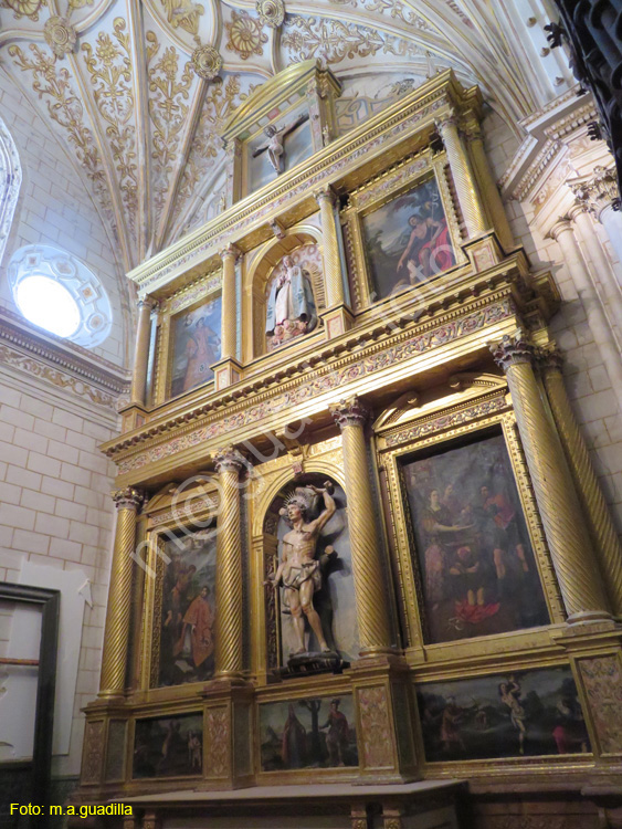 PALENCIA (277) Catedral