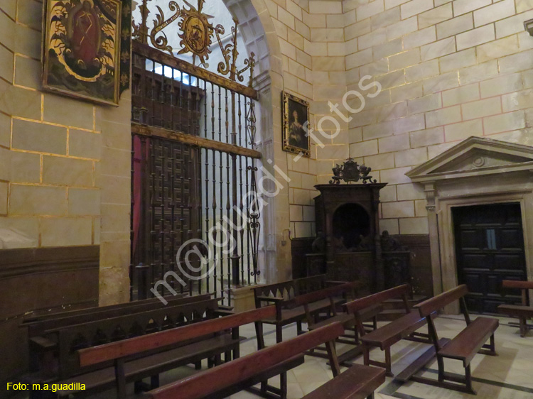 PALENCIA (281) Catedral