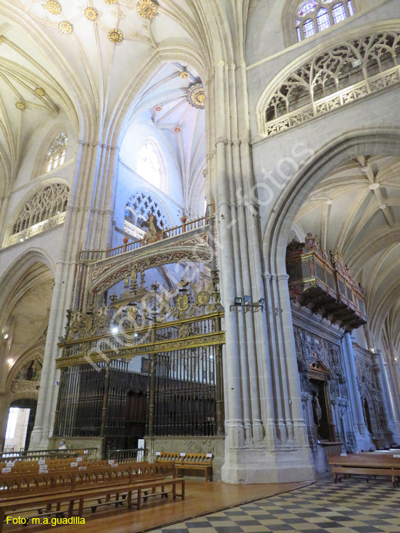 PALENCIA (283) Catedral