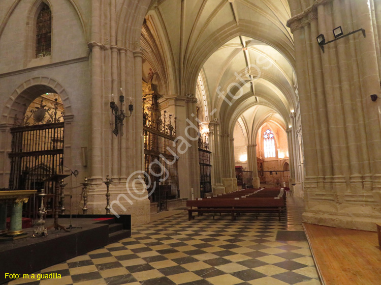 PALENCIA (286) Catedral