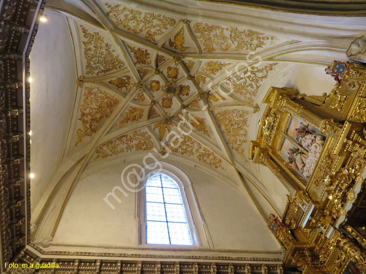 PALENCIA (290) Catedral