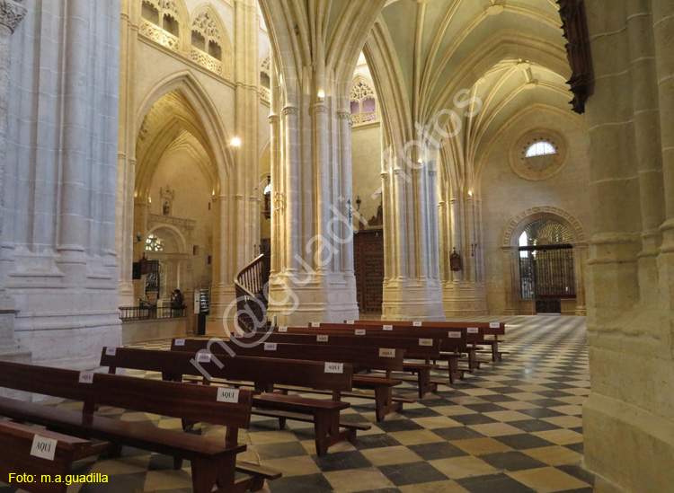 PALENCIA (293) Catedral