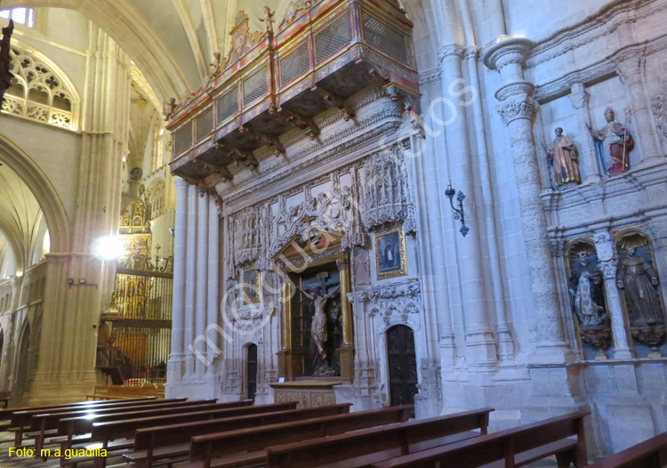 PALENCIA (297) Catedral