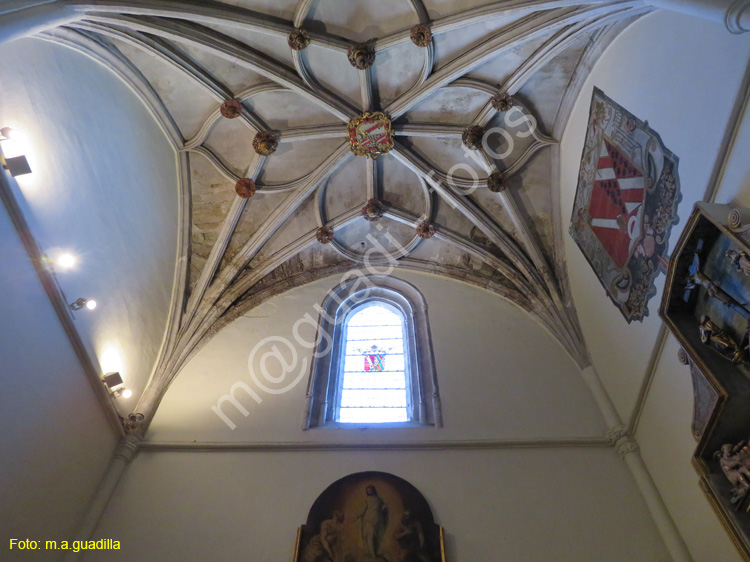 PALENCIA (298) Catedral