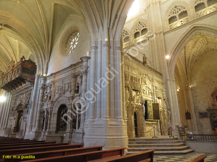 PALENCIA (300) Catedral