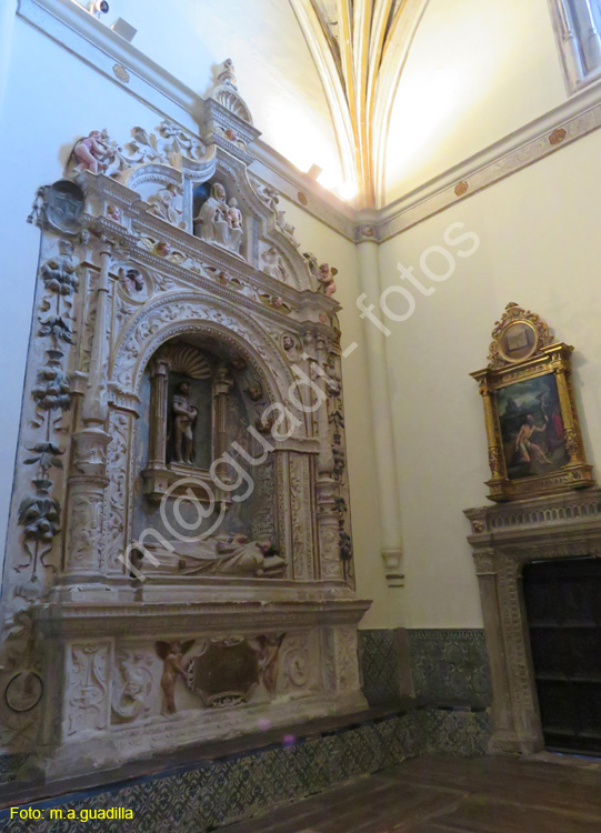 PALENCIA (302) Catedral