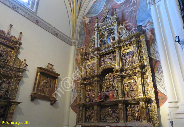 PALENCIA (303) Catedral