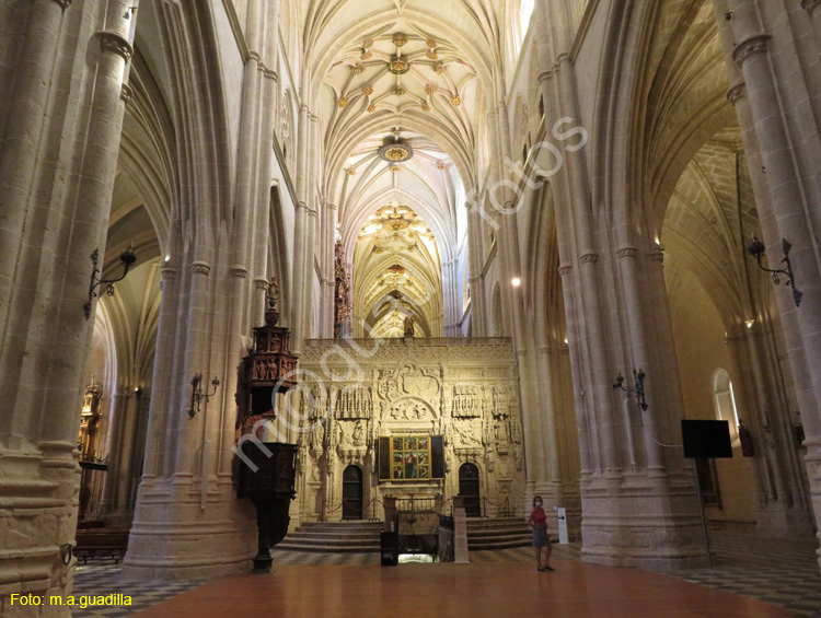 PALENCIA (315) Catedral