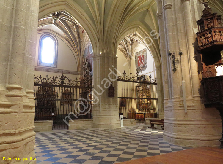PALENCIA (316) Catedral