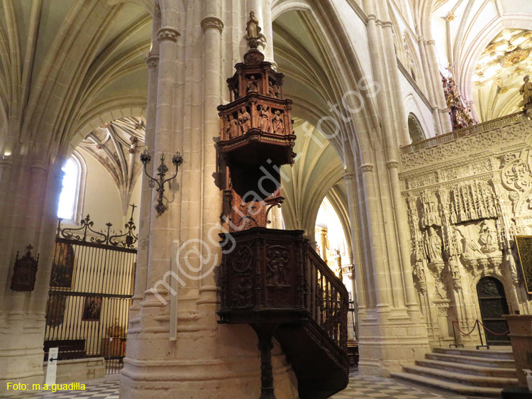 PALENCIA (317) Catedral