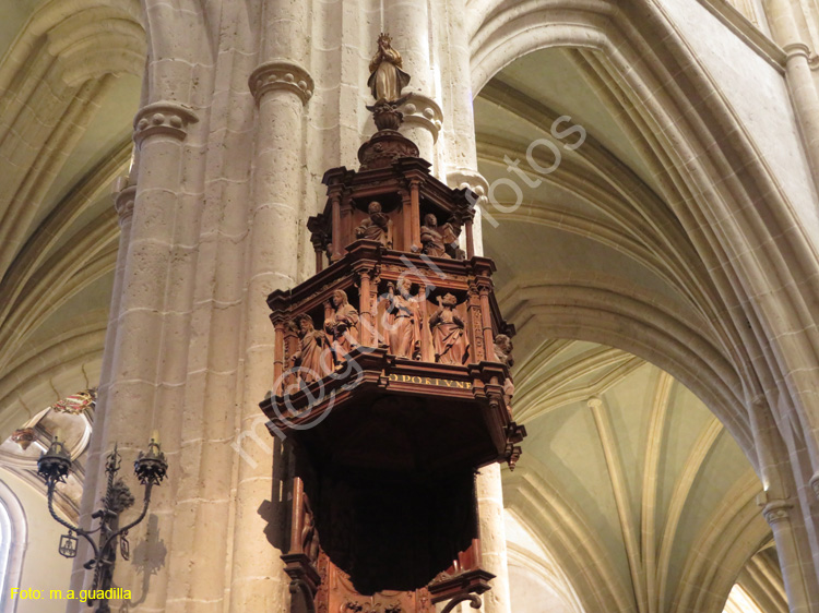 PALENCIA (318) Catedral