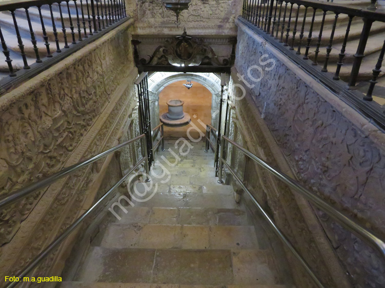 PALENCIA (320) Catedral