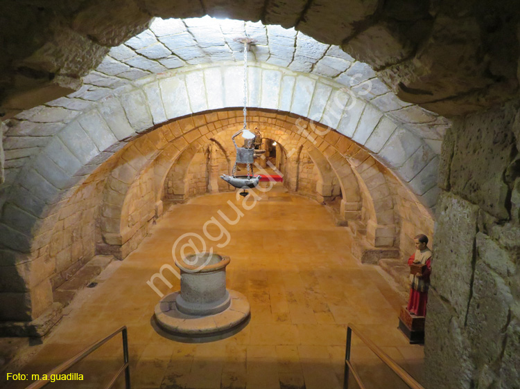 PALENCIA (322) Catedral