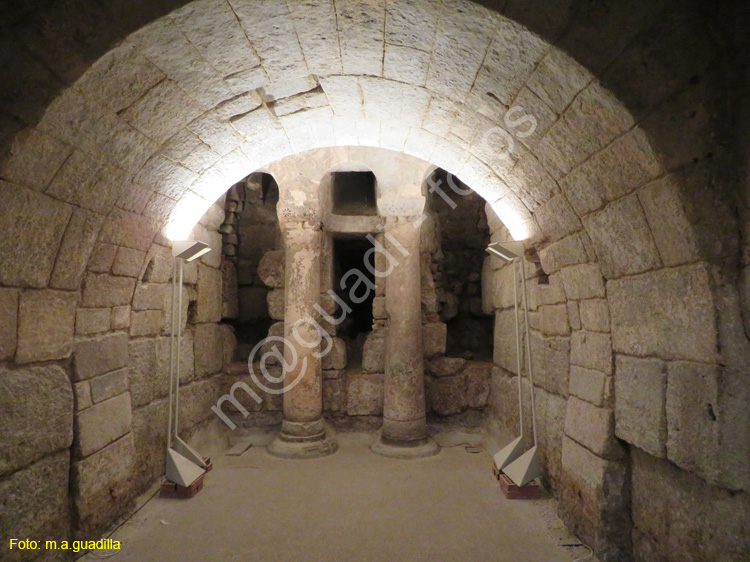 PALENCIA (324) Catedral