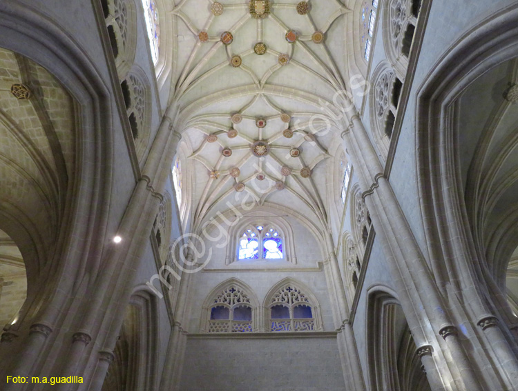 PALENCIA (326) Catedral