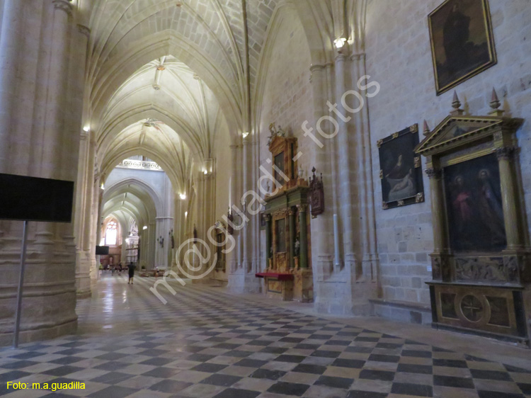 PALENCIA (328) Catedral