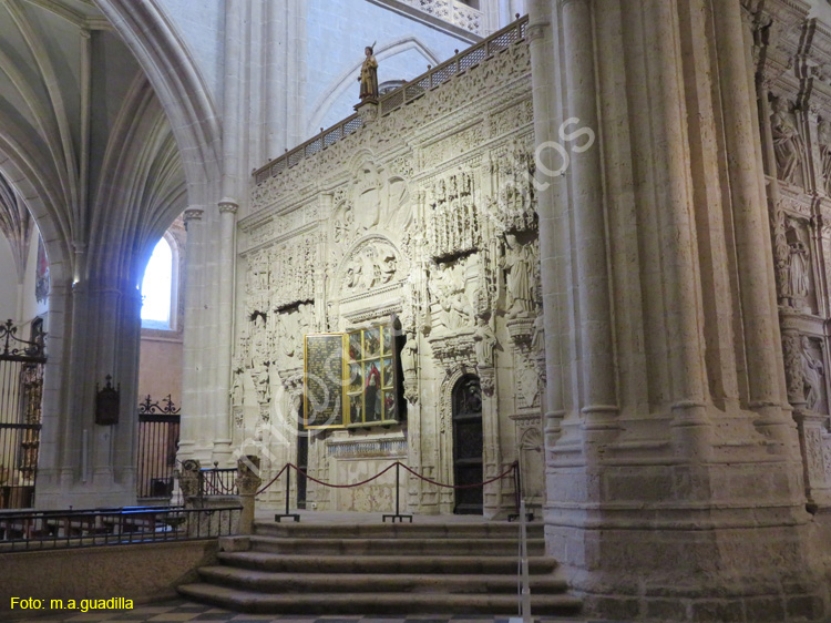 PALENCIA (329) Catedral