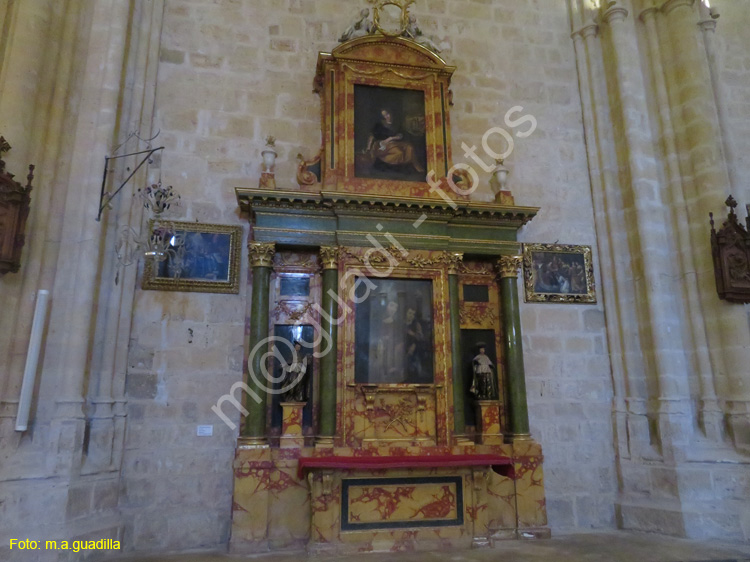 PALENCIA (330) Catedral