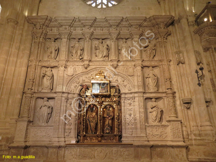 PALENCIA (331) Catedral