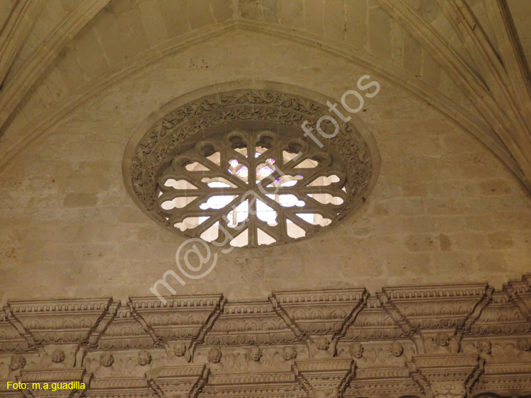 PALENCIA (332) Catedral